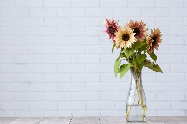 Wohnzimmer mit Blumen dekorieren: Darauf sollten Sie achten